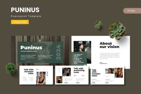 Visual Storytelling with Puninus: Rethinking Presentation Design Beyond the Default